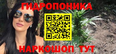 шишки Беслан