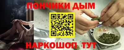 крисы Бийск