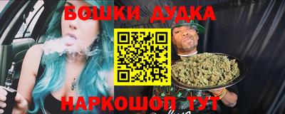 крисы Бийск