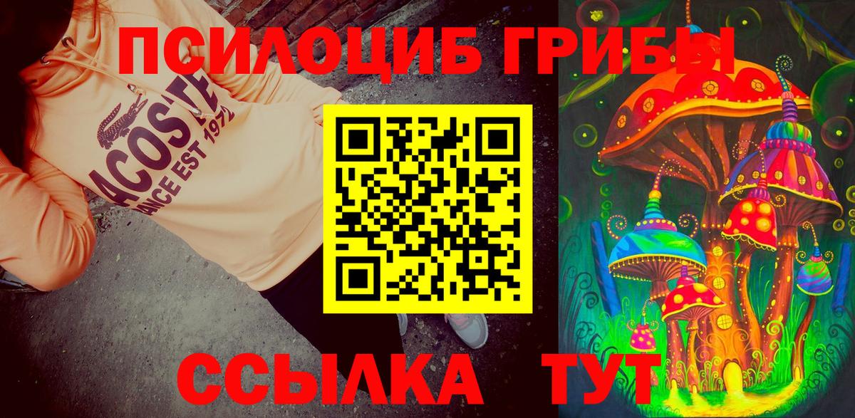 Галлюциногенные грибы Psilocybine cubensis Клинцы
