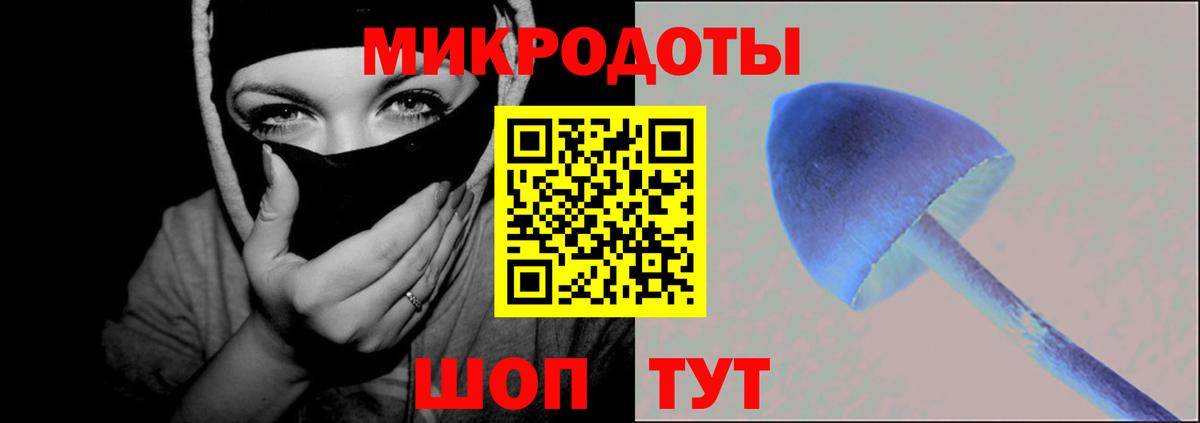 Клинцы  Псилоцибиновые грибы Psilocybine cubensis  Вход с VPN 
